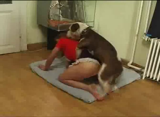 Video :Zoophilia porn tube of dog fucking a girl